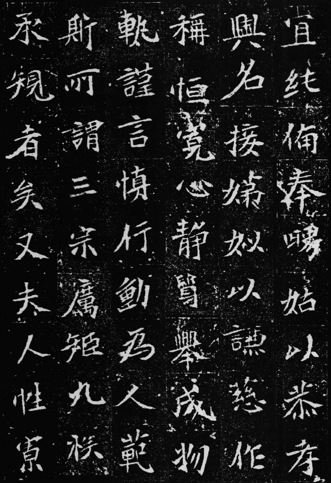 小马拉大车最新资源