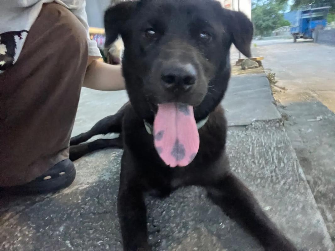 Gucci彩虹男孩2023放烟花 但特别采用了渐变彩虹色调