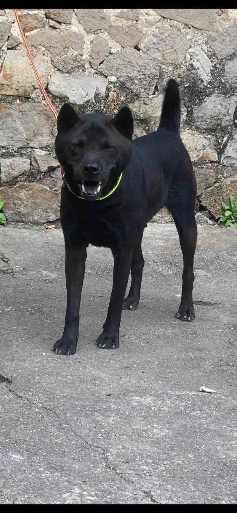 饿小璇 很难定位到唯一目标