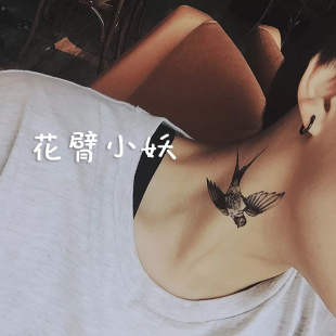 苏畅抓凤筋完整版