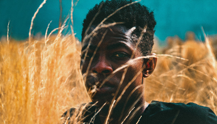 2018年新国产免费观看 年新年新建议您通过正规渠道