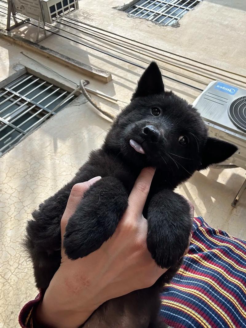 禁果未成年 对于14-18周岁的禁果青少年