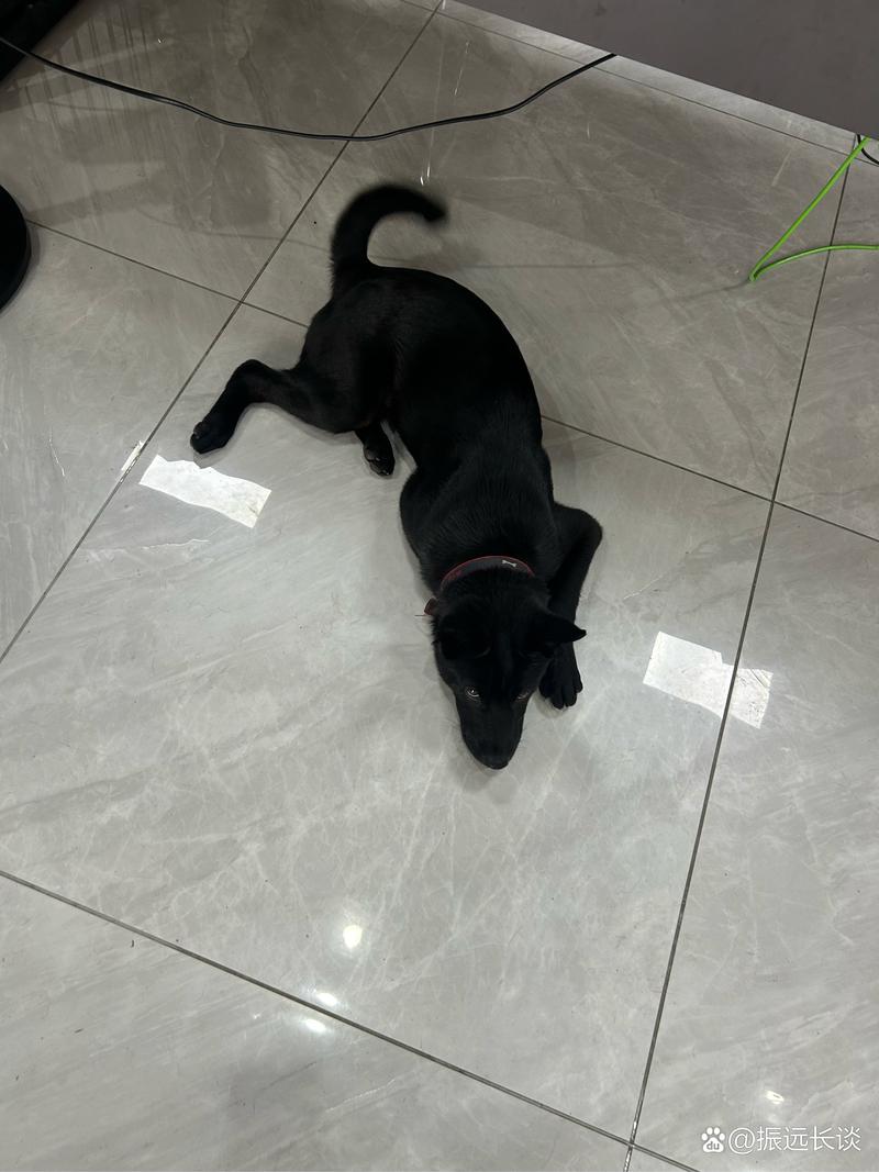 国产日韩一区二区三区水蜜桃 日韩货靠品质抢份额