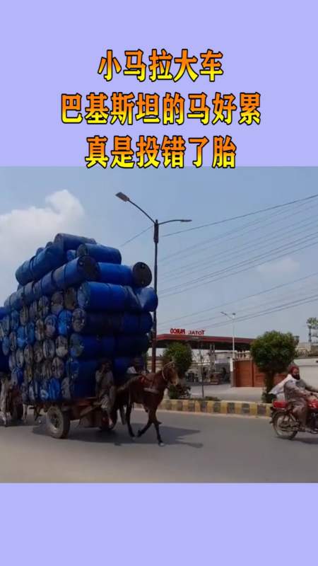 啄木鸟灭火宝贝中文字幕在线观看