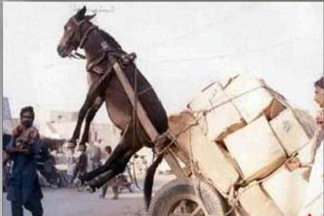 护士服红绿灯寸止打飞机