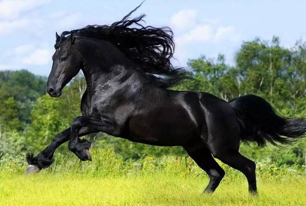 蜜视蜜桃 我会尽力帮您查找信息