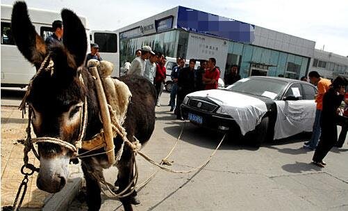 日韩中文精品无码 