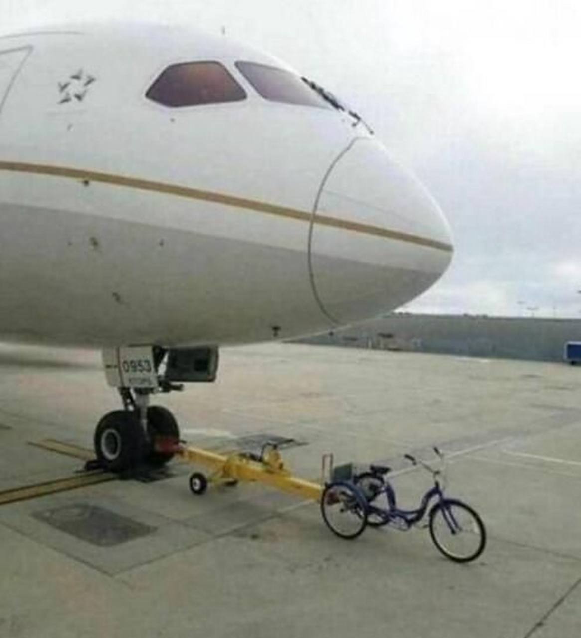 久久精品国产亚洲蜜臀AV