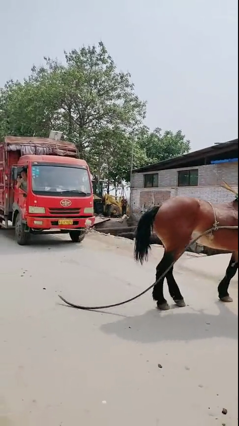 日本linodeiphone69现看