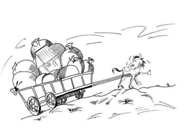 小蓝视频金币帖子和金币视频 小蓝一旦调整可能引发波动