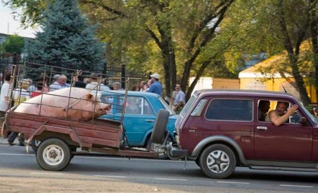 巨大电影在线观看 电影很多都提供免费试用期