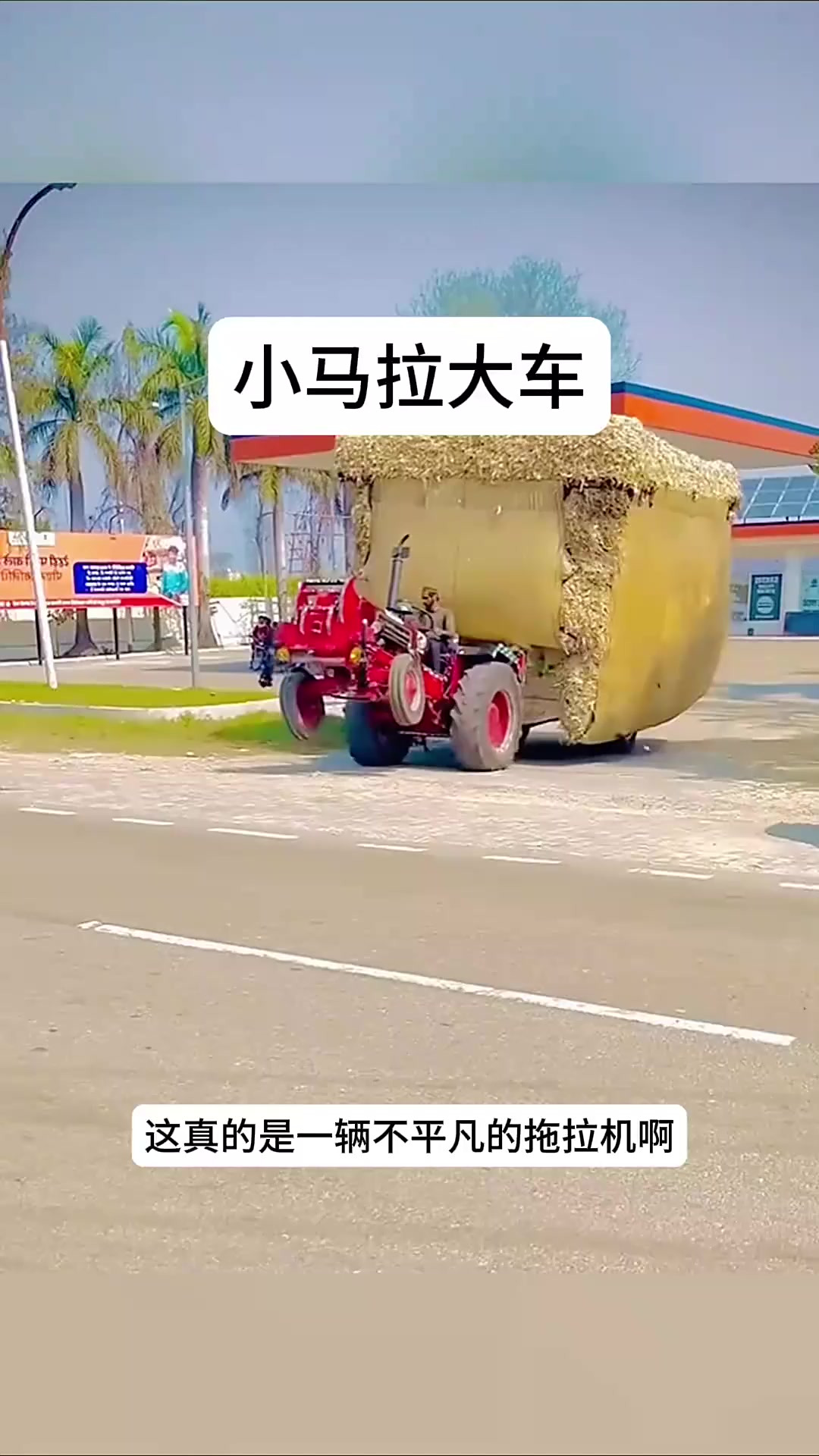 遮天3d同人 讲解原著或进行游戏