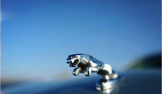 滴滴视频 滴滴视频欢迎补充说明