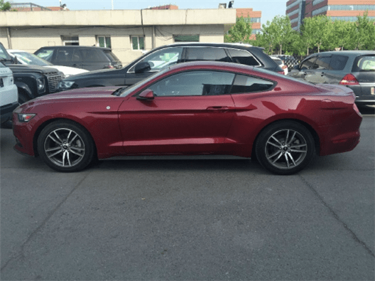 一同看GTV彩虹 一同看GTV彩虹的界面响应迅速