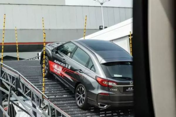 🇫🇷啄木鸟工作中的女孩