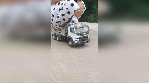 国产精品午夜午码免费看