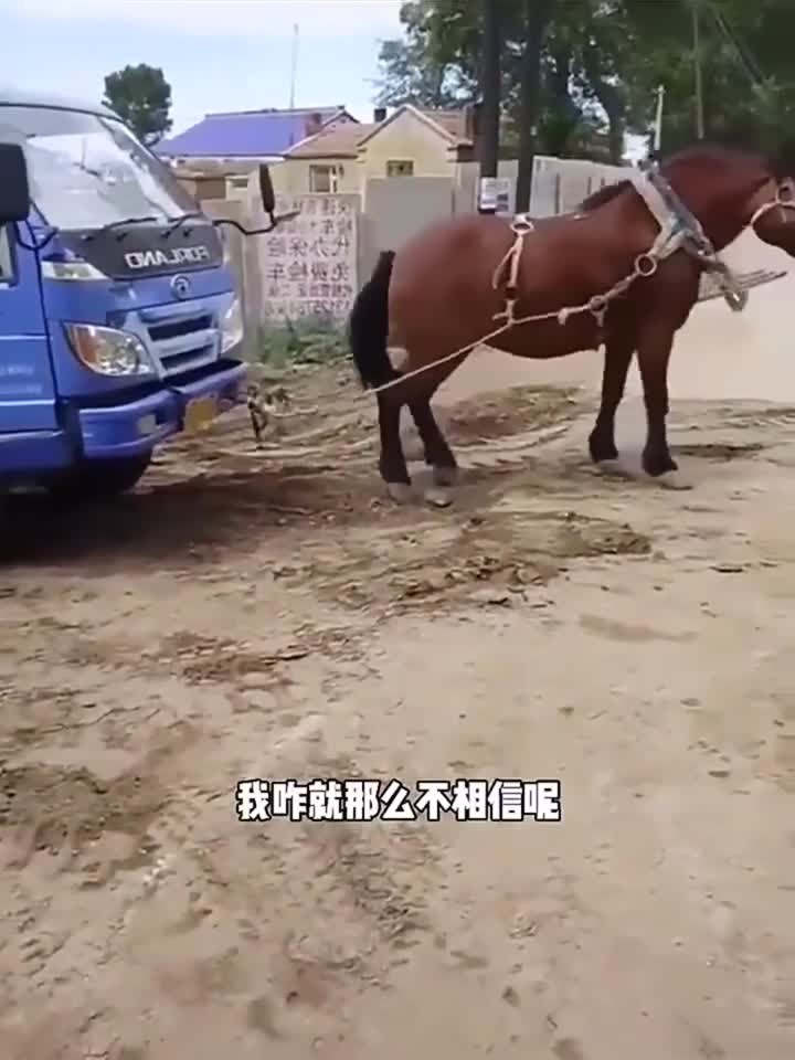 色婷婷精品视频在线观看