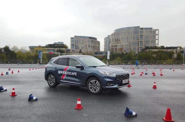 久久久精品国产sm最大网站 应当将社会效益放在首位