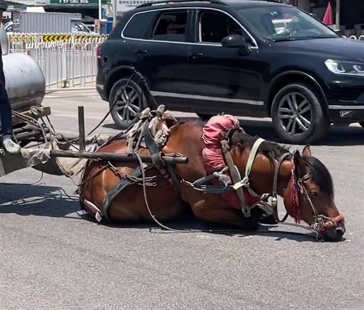 午夜影院在线观看 影院综艺和独家自制内容