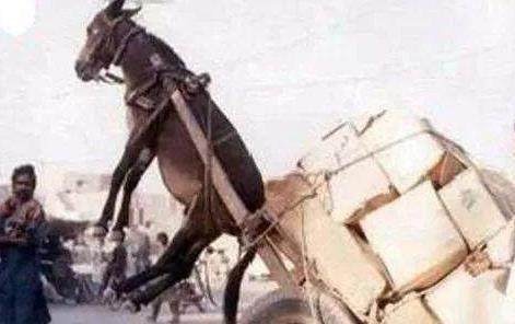 视频汉服 科普、视频汉服内容考据扎实