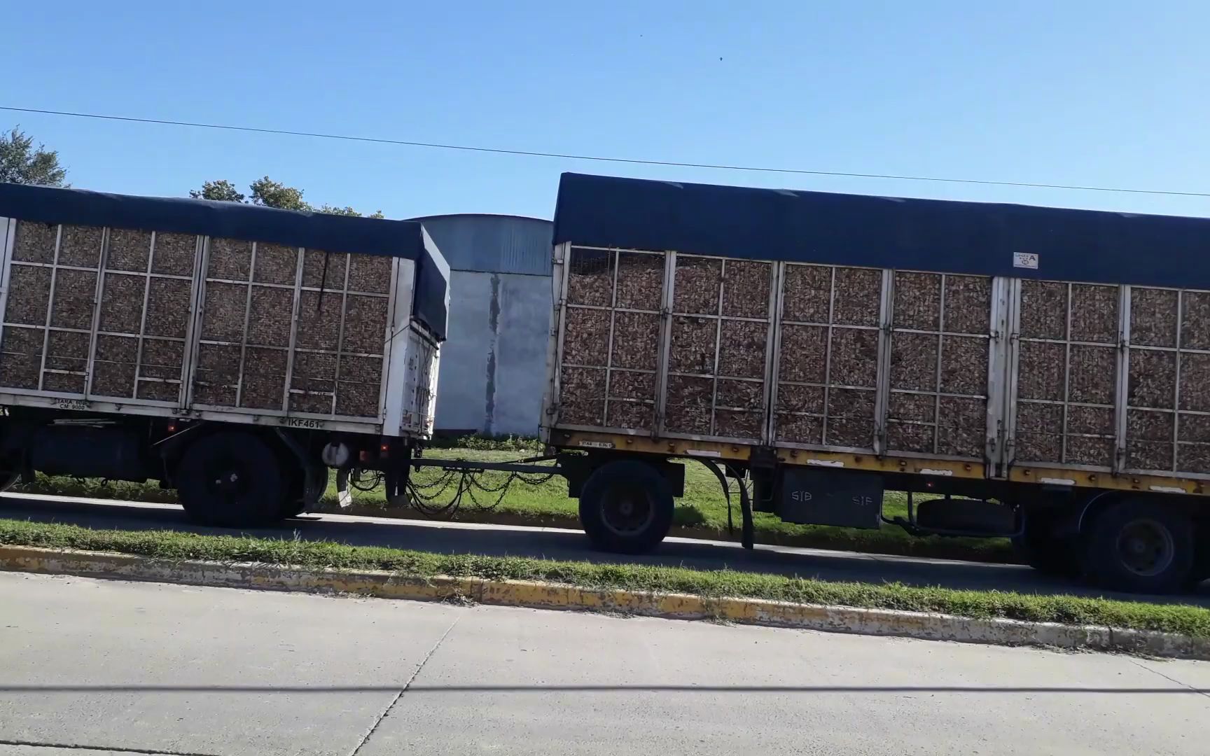 国产精品综合色区在线观看 享受一站式的国产观影服务