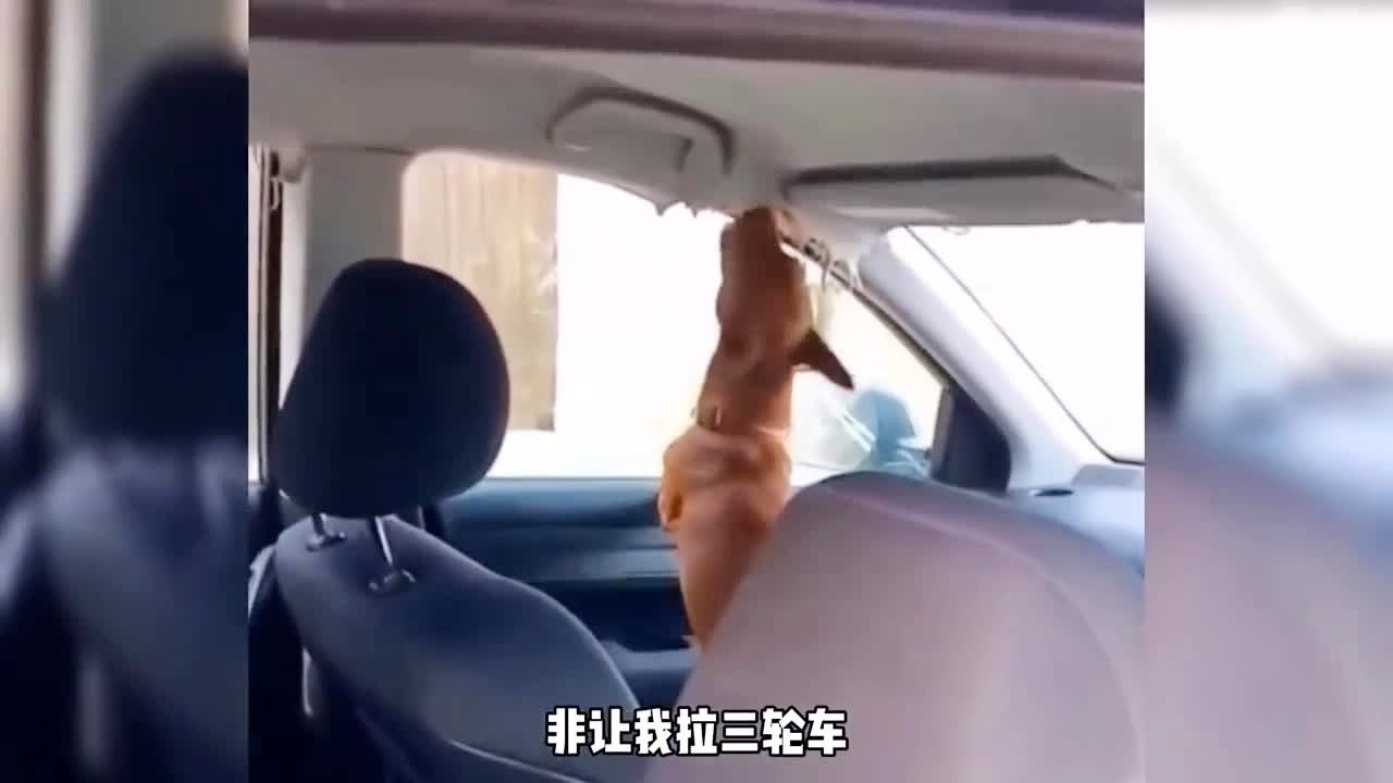 99国内精品久久久久久久 这不仅推动了行业发展