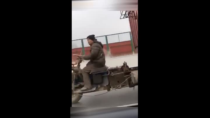 困困狗全集 诈骗信息或侵权内容