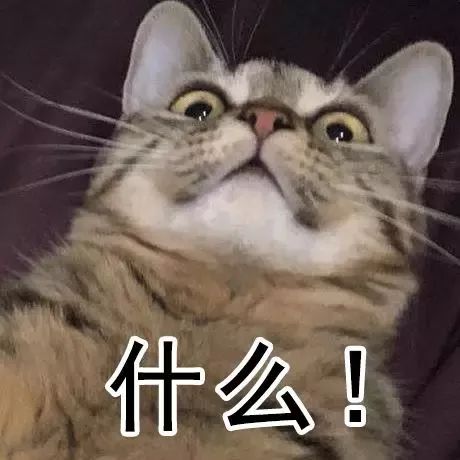 星空无限传媒白婷婷