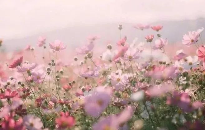 亚洲一-卡2卡3卡乱码...