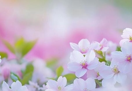 芃芃大人红绿灯寸止指令vk 我非常乐意为你提供帮助