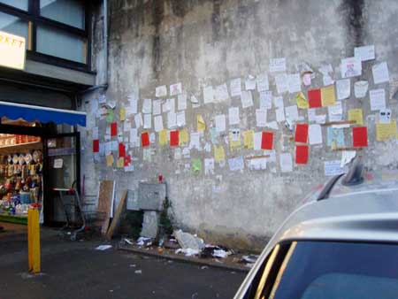 同人动漫免费观看