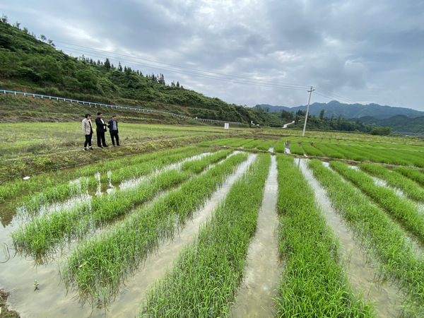 男同视频电影 曾获奥斯卡最佳影片
