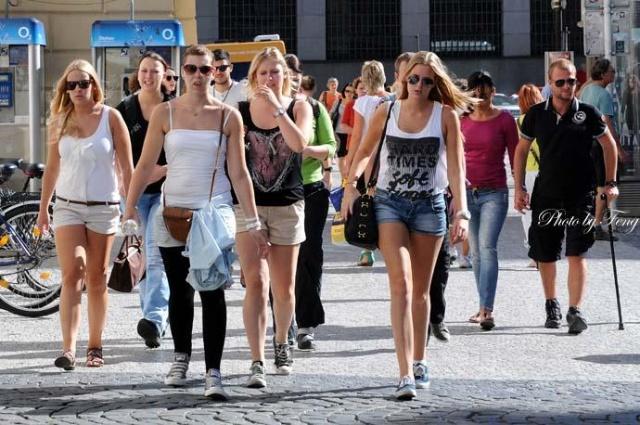 欧美小马拉大车暗网