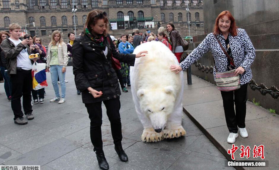 k·k视频.com Netflix等）的视频官方域名