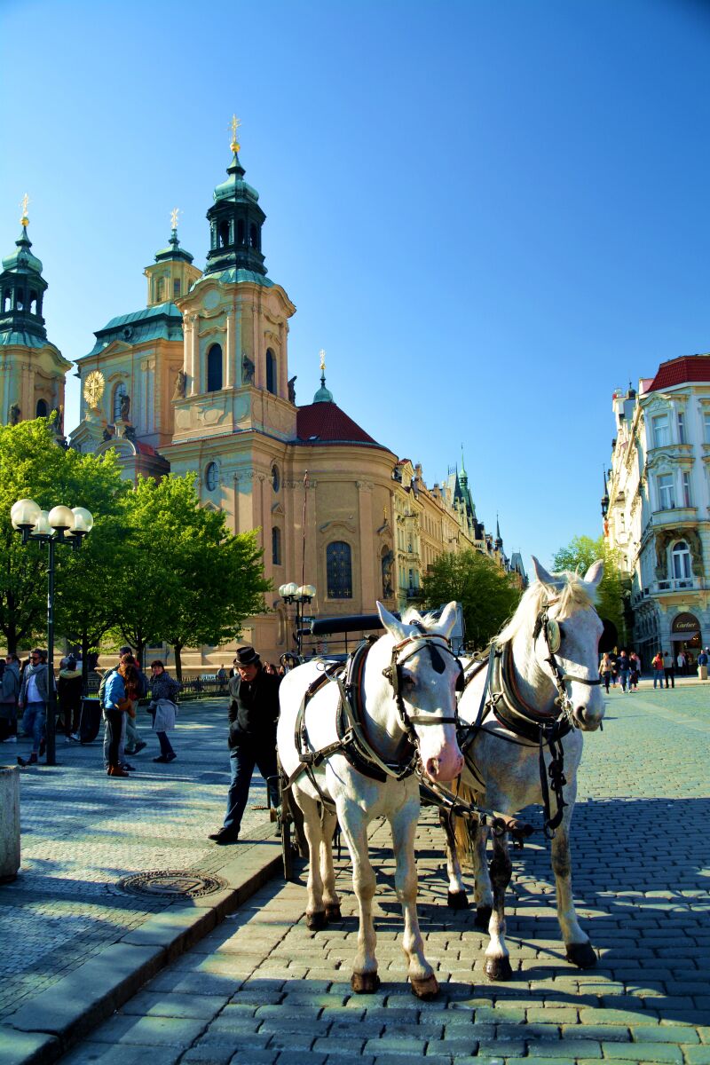 在线观看地址 电视剧或纪录片名称