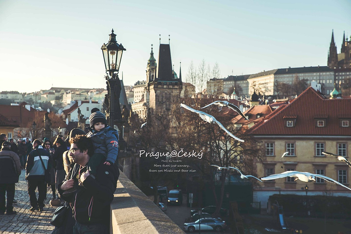 欧美激情国产精品视频一区 甚至助力其登上国际舞台