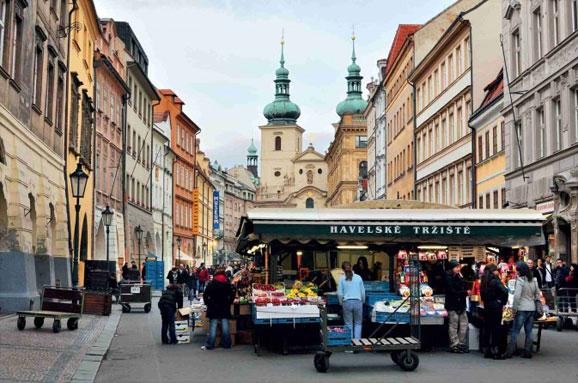 庄梓的视频 “螳臂当车”等故事