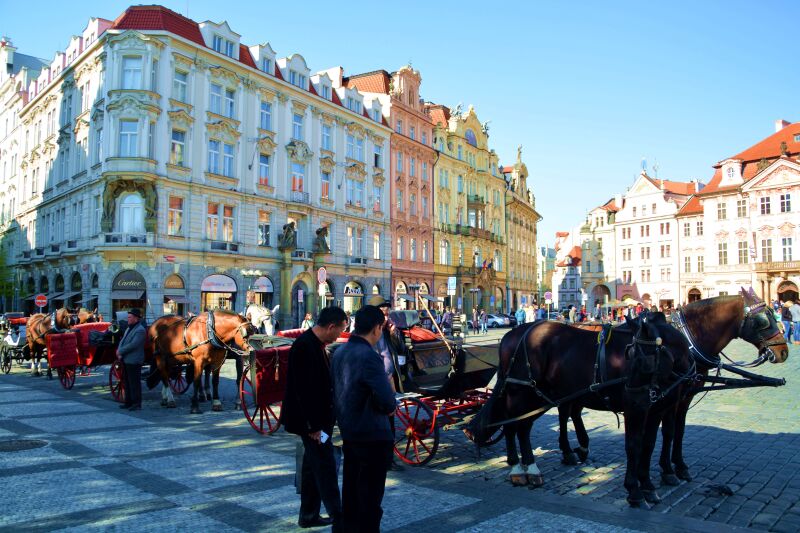 91自拍论坛地址