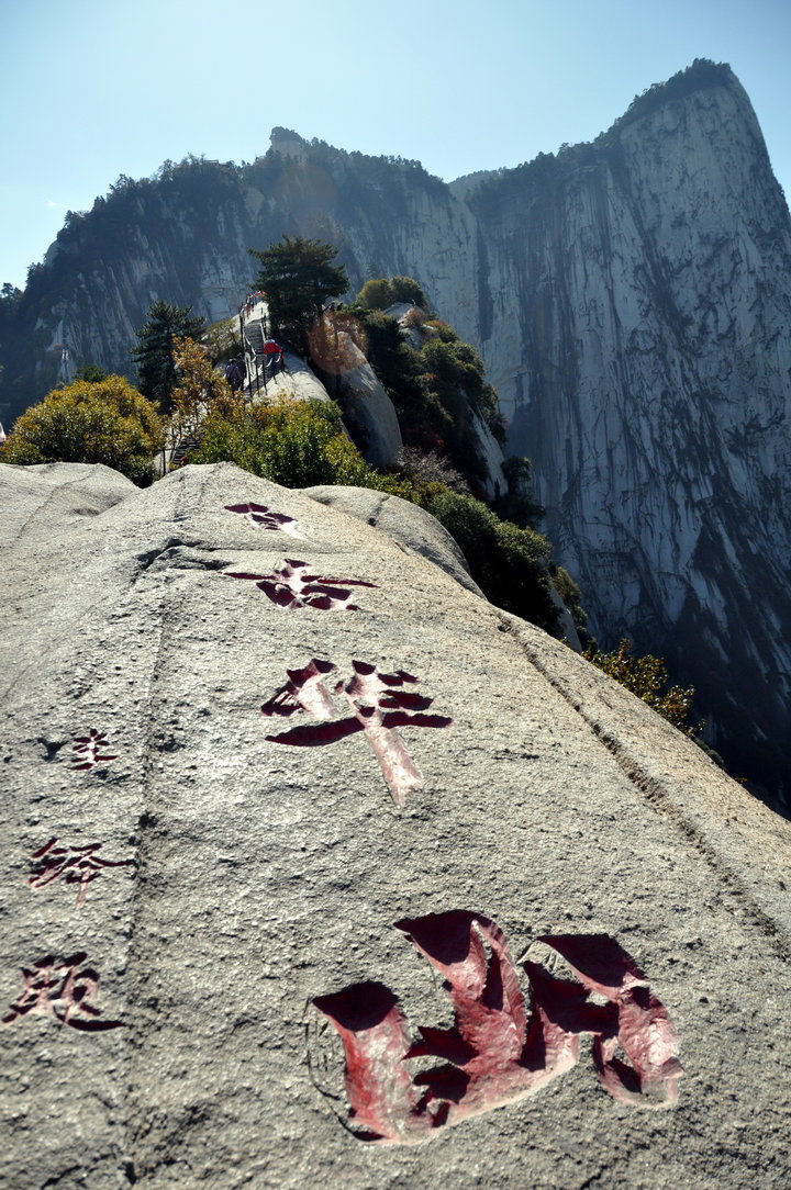 爆料在线观看视频 存在虚假或夸大风险