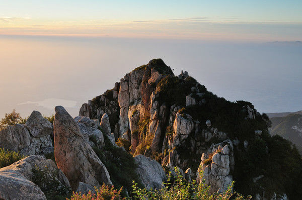 B站年轻人视频APP 让观众学到不少东西