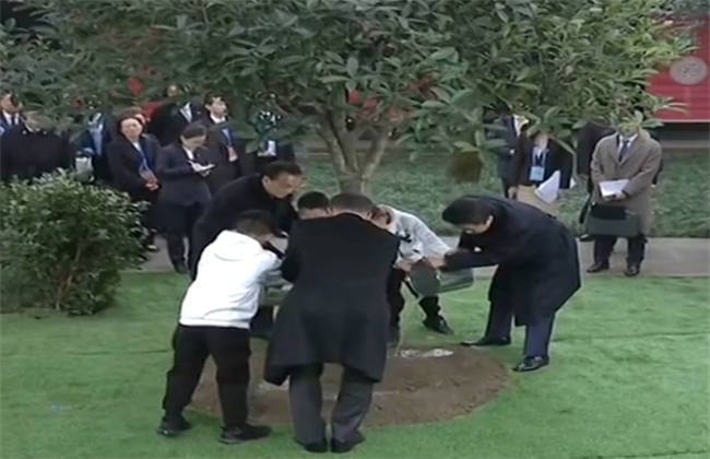 799su黑料正能量入口