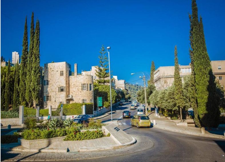 francesco malcom啄木鸟 木鸟粉丝群体或特定作品中