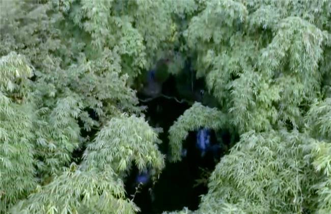 jur 242 在 +线 观 看 最清晰)这是最佳选择