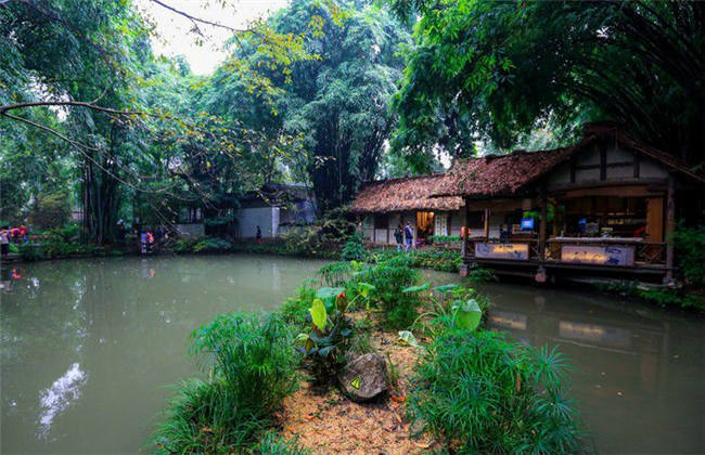 过年网络新视频