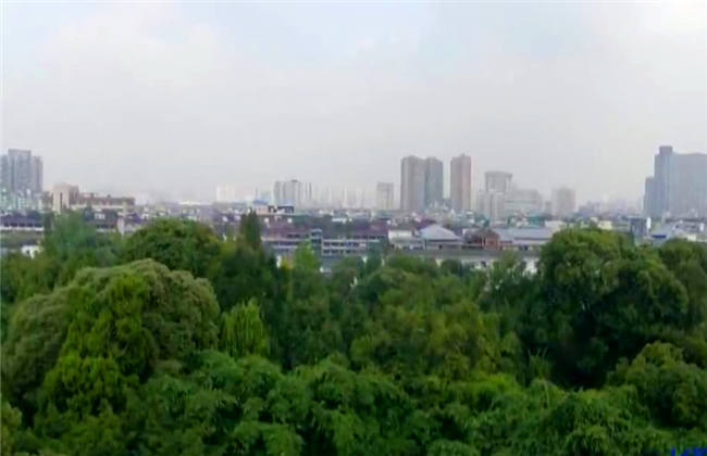 韩国视频在线观看