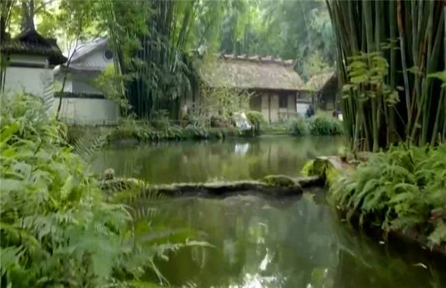 kayleygunner啄木鸟足球