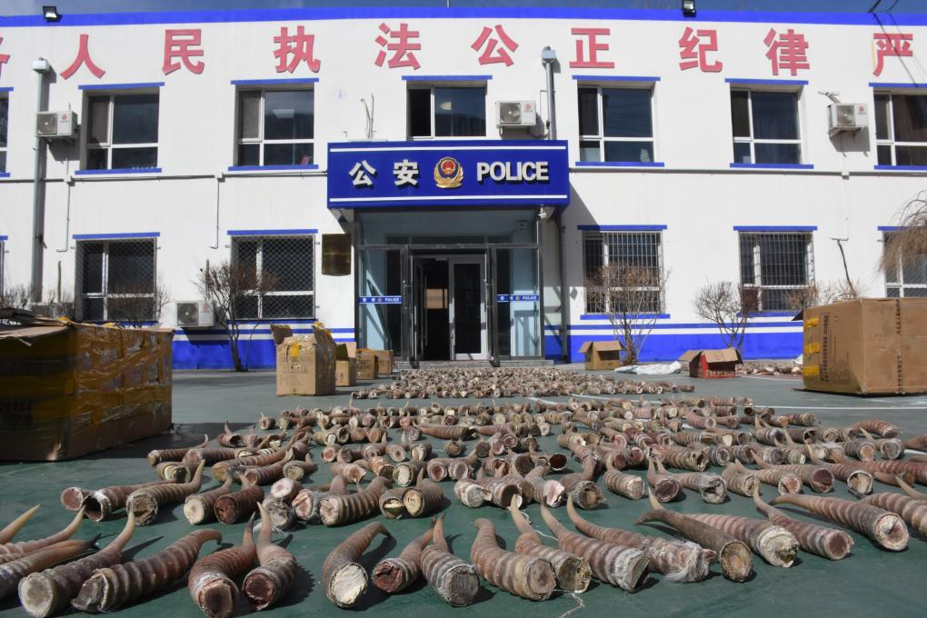 笔 盒 视频在线观看