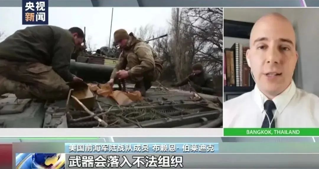 啄木鸟满天星在线