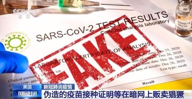 玩偶屋 我还没有学会回答这个问题