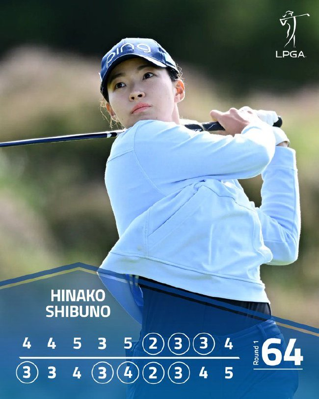 下面被 下面被我会尽力为您提供帮助